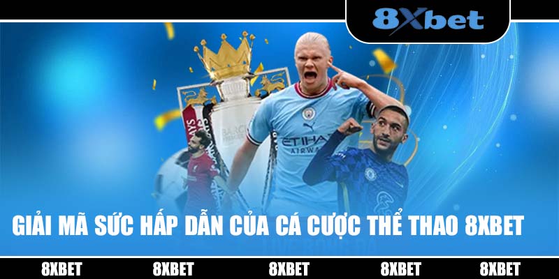 Giải mã sức hấp dẫn của cá cược thể thao 8XBET 