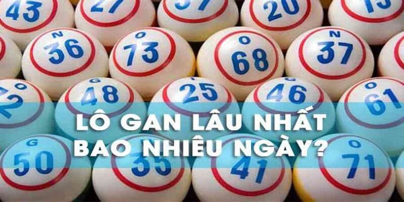 Tìm hiểu mọi thông tin về đề gan tại 8XBET